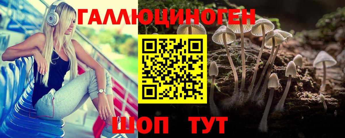 Медногорск  Галлюциногенные грибы Cubensis  купить наркотики цена  Вход с VPN 